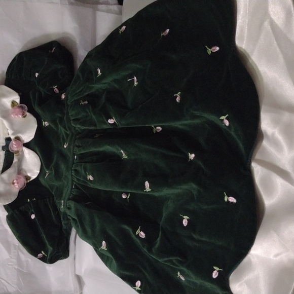 Little Girls Green Velvet  Pink Rosebud Embroidered  👗 3T NWT - Picture 1 of 4